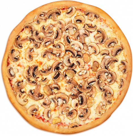 picca-gribnaya